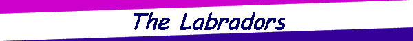 The Labradors
