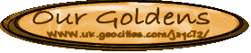 OurGoldens Home - A Golden Site to See!