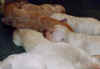 pups-some2wks.jpg (15029 bytes)