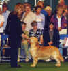 vegascrufts01.jpg (38599 bytes)